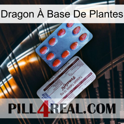 Dragon À Base De Plantes 36